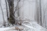 201212281133-AJS_5715.jpg